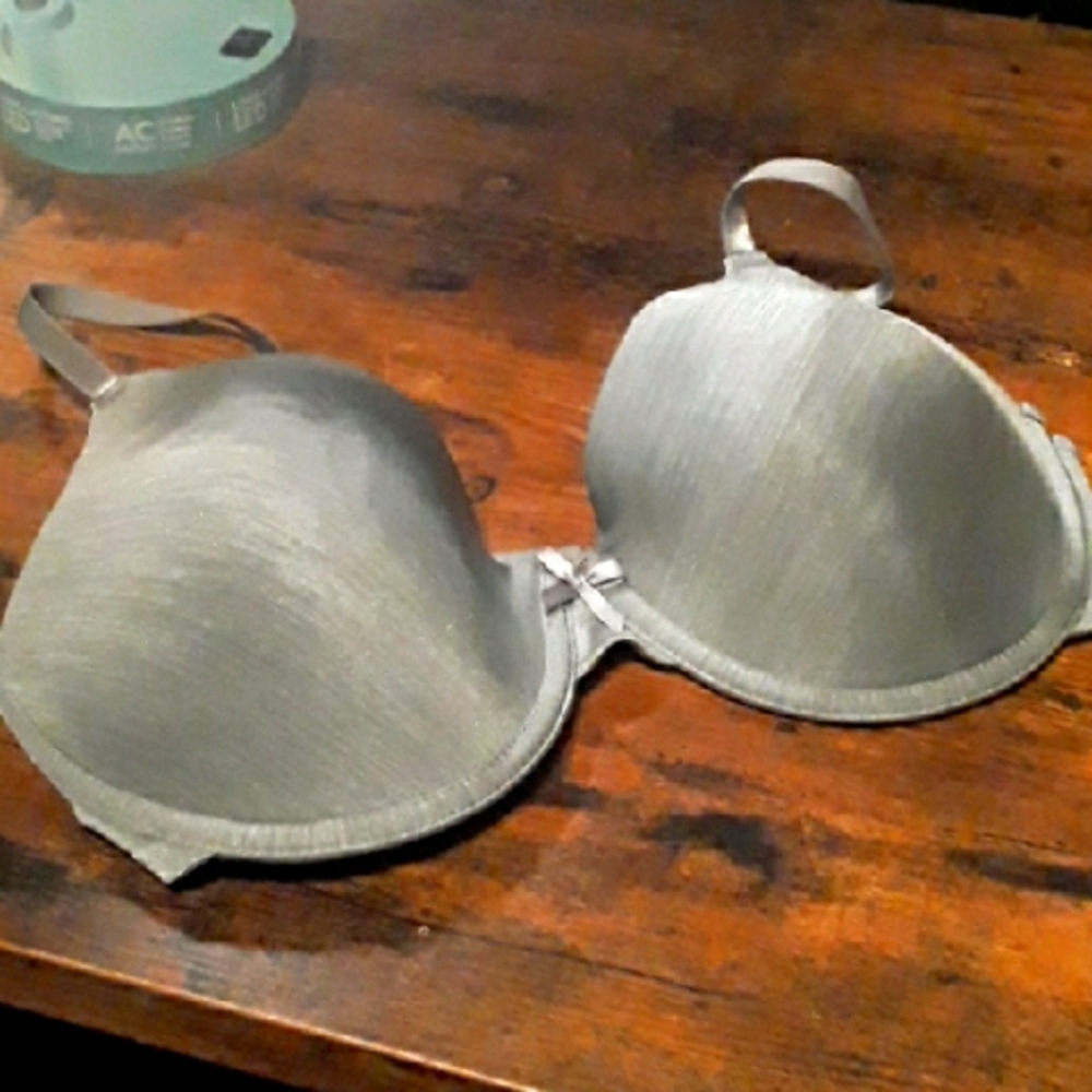 NWOT 36DD Silver Grey Secret Treasures Beautiful Padded underwire Bra
